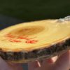 Springtime Honey Bee - Layered Resin Painting - Image 9
