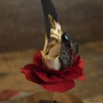 "Bloom" by Lana Crooks