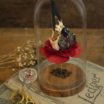 "Bloom" by Lana Crooks