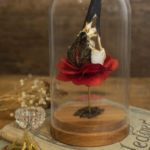 "Bloom" by Lana Crooks