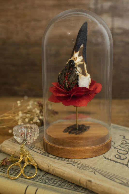 "Bloom" by Lana Crooks