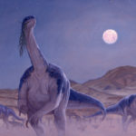 Plateosaurus by Owen William Weber