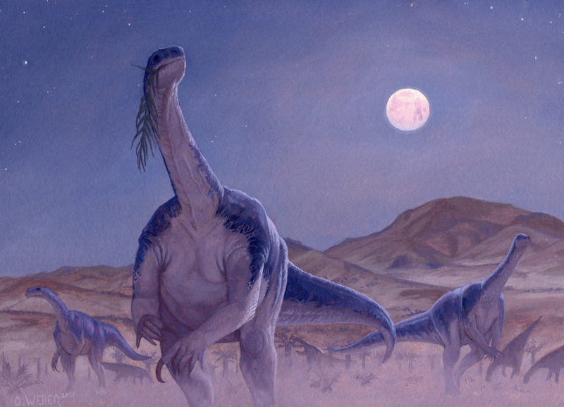 Plateosaurus by Owen William Weber