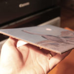 Plateosaurus by Owen William Weber