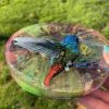 Flutter - Image 3