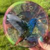 Flutter