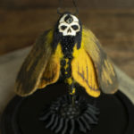 Coquarde by Lana Crooks