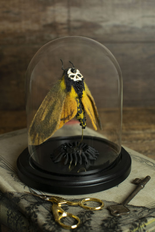 Coquarde by Lana Crooks