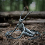 The Circle, by Matthew Levin