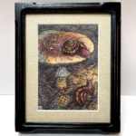 "Missed Connection" by Emily Poole