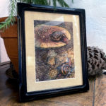 "Missed Connection" by Emily Poole