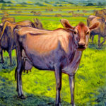 "Jersey Cows" -- by Danny Schwartz