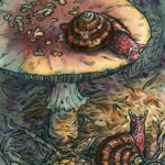 "Missed Connection" by Emily Poole