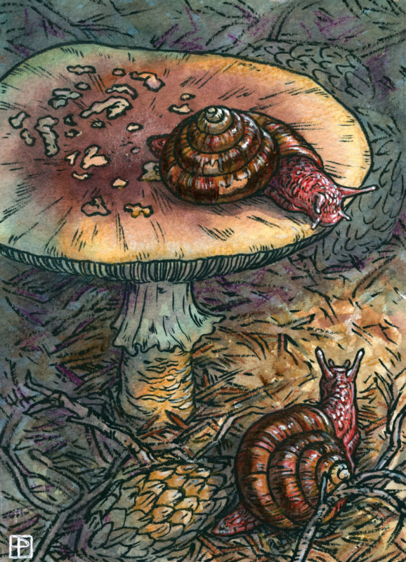 "Missed Connection" by Emily Poole