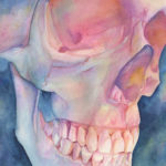 Quiet_emeraldbarkley