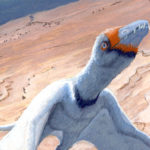 Eudimorphodon by Owen William Weber