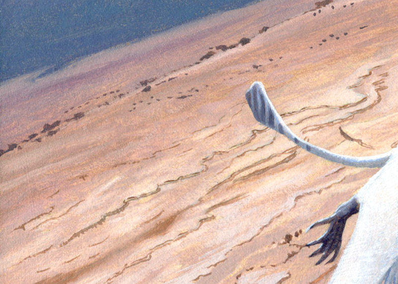 Eudimorphodon by Owen William Weber