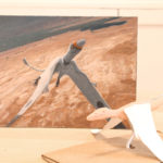 Eudimorphodon by Owen William Weber