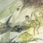 "Luna" - by Amelia Leonards