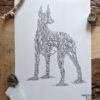 Timberland Pinscher