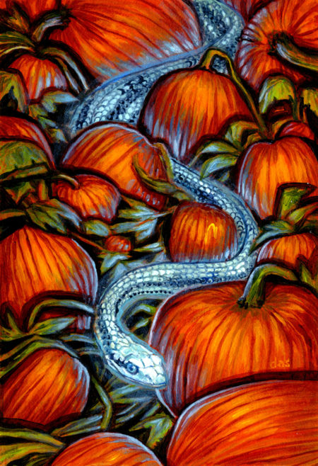 "Pumpkin Patch" -- by Danny Schwartz