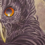 detail of owl
