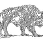 "Where the Buffalo Roam" by Laura Garabedian