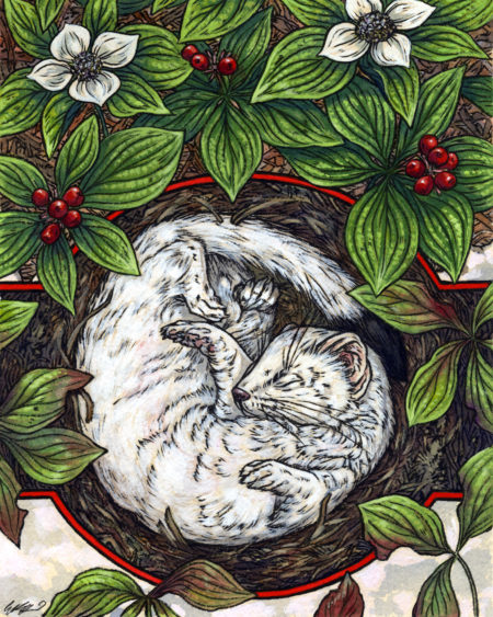 "Solstice Sleeper" by Emily Poole
