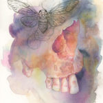 Painting is a loose watercolor of the nasal cavity and teeth of a human skull. A loose ink drawing of a cicada is where the eye socket would normally be.