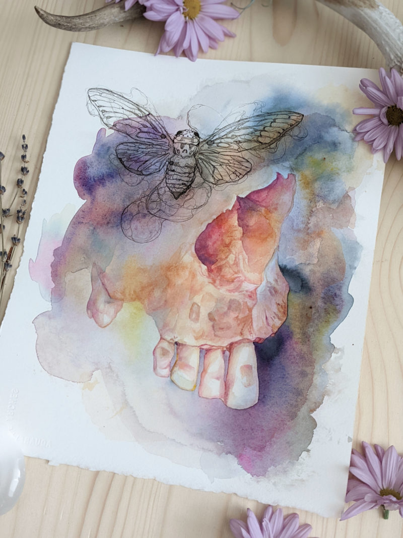 Painting is a loose watercolor of the nasal cavity and teeth of a human skull. A loose ink drawing of a cicada is where the eye socket would normally be.