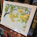 Fair of Pear side view