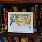 Fair of pear on a shelf