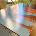 Detail of Herrerasaurus by Owen Weber