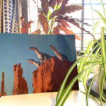 Setup of Herrerasaurus by Owen Weber