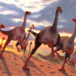 Gallimimus by Owen Weber