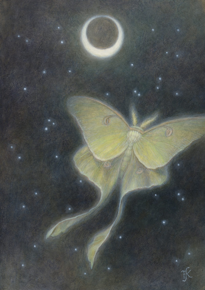 "Luna Moth" by Kaysha Siemens