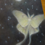 "Luna Moth" by Kaysha Siemens