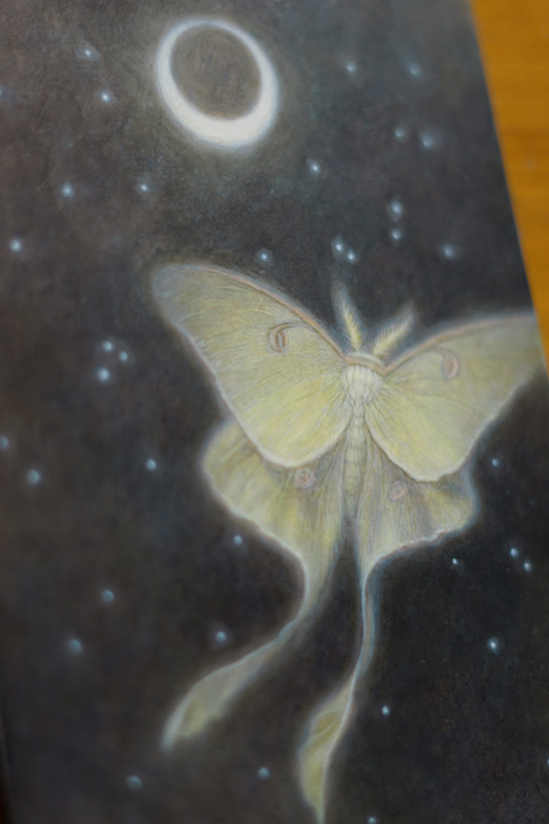 "Luna Moth" by Kaysha Siemens