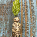 Life Cycle of the Mandrake