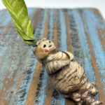 Life Cycle of the Mandrake