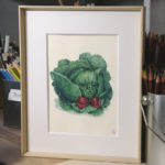 Cabbage by Carissa Susilo