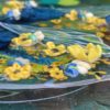 Flourish - Image 12