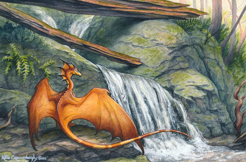 orange dragon and waterfall with logs