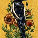 Garden Visitor by Emily Poole