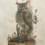 watercolor Owl cabinet of Curiosities by Sucharita Suri