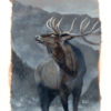 Frost - Image 3