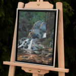 The Edge of Evening - Bear's Den Framed