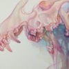A watercolor coyote skull painted in vibrant, lollipop pinks, purples, and oranges, that melts into watercolor washes and reforms in the lower jaw. The skull is connected to itself by thin, flowing pink threads that weave in and out of the watercolor ether.