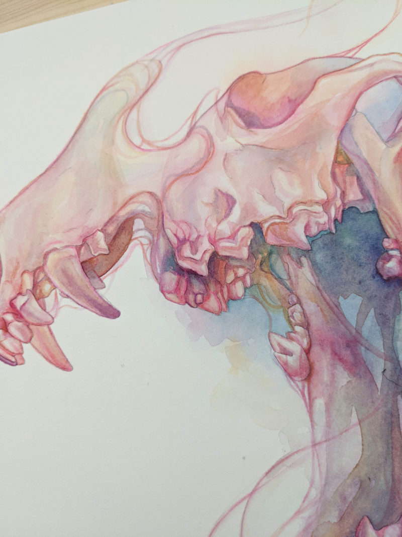 A watercolor coyote skull painted in vibrant, lollipop pinks, purples, and oranges, that melts into watercolor washes and reforms in the lower jaw. The skull is connected to itself by thin, flowing pink threads that weave in and out of the watercolor ether.