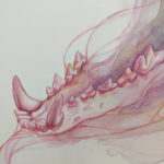 A watercolor coyote skull painted in vibrant, lollipop pinks, purples, and oranges, that melts into watercolor washes and reforms in the lower jaw. The skull is connected to itself by thin, flowing pink threads that weave in and out of the watercolor ether.